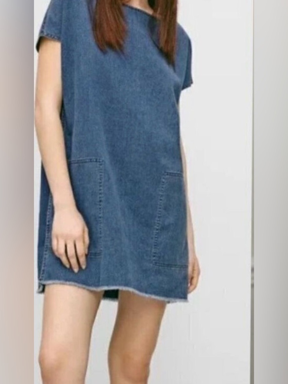 Aritzia Wilfred Free Nori denim shift dress,
NWOT
